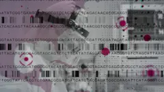 Keyframe #1rona