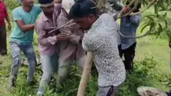 ખેડૂત