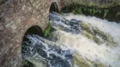 مياه صرف متدفقة