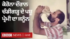 ਕੋਵਿਡ ਪਾਜਿਟਿਵ ਪਰਿਵਾਰਾਂ ਦੇ ਪਾਲਤੂ ਜਾਨਵਰਾਂ ਦੀ ਸੰਭਾਲ ਲਈ ‘ਚੰਡੀਗੜ੍ਹ ਦੇ ਮੋਗਲੀ’ ਦੀ ਕੋਸ਼ਿਸ਼