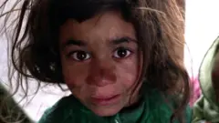 ብርቱዕ ቁሪ ሓጋይ ንሰብኣዊ ቅልውላው ኣፍጋኒስታን የጋድዶ ኣሎ። ጣሊባን ስልጣን ድሕሪ ምሓዙን ቁጠባ እታ ሃገር የንቆልቁል ኣሎ። ውድቀት እቲ ዝጸንሐ መንግስቲ ኣፍጋኒስታንን ምቁራጽ ምዕራባዊ ሓገዛትን ንሽቕለት ኣልቦነት ኣዕሪጉዎ ይርከብ።