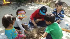 مدارس طبیعت