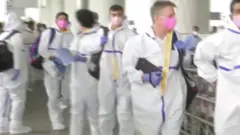 आईपीएल 2020