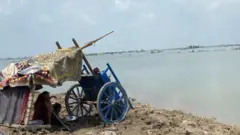 سندھ