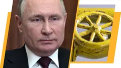 новини