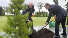 Президент Мирзиёев ва Президент Лукашенко кўчат ўтқазмоқдалар