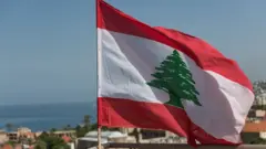 العلم اللبناني