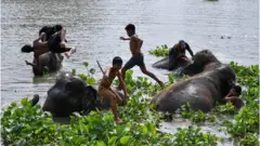 थाईलैंड, हाथी दिवस