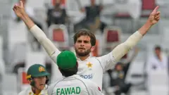 شاہین