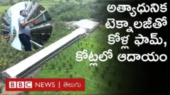 రూ.3,000 తో కోళ్ల పెంపకం మొదలుపెట్టిన పేద రైతు, ఇప్పుడు కోట్లు సంపాదిస్తున్నారు