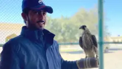 تلور