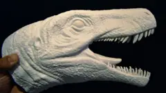 Cabeza del Gnathovorax Cabreirai