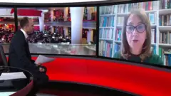 'طرح جدید چیز چندانی را عوض نمی‌کند'؛ گفت‌و‌گو با شهران طبری، تحلیلگر مسائل بریتانیا
