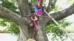 ఒడిశా