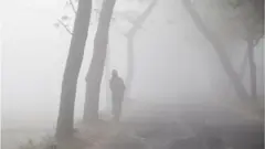 কুয়াশার কারণে সূর্যের কিরণ ঢুকতে না পারার কারণে তাপমাত্রা কম থাকে এবং শীত অনুভূত হয়।