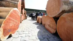 Un partenariat avec le gouvernement gabonais a permis de transformer des grumes de kevazingo pour les exporter en produits finis en Chine