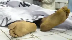 دودو
