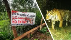 కాకినాడ జిల్లాలో పులి