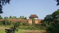 ava
