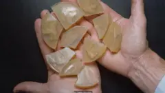 આઈન્સ્ટાઈનના દિમાગના ટુકડા અને આંખો સાચવી રાખવામાં આવ્યાં છે.