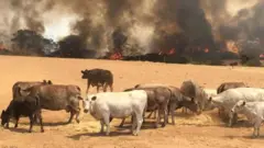 Imiriro igeramiye abantu n'ibyabo muri Austaralia