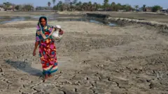 A woman in Bangladesh collects drinking water.