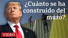 Donald Trump y el muro fronterizo