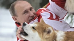 Putin jugando con dos perros en la nieve