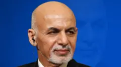 ولسمشر غني