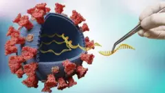 ภาพจำลองไวรัส