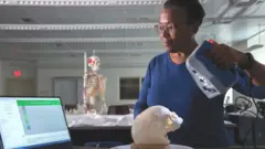 Фиби Стабблфилд