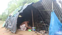 අහිකුණ්ඨික