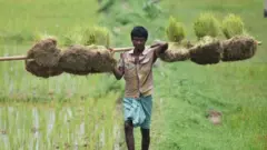 પ્રતીકાત્મક તસવીર