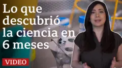 Ana María Roura