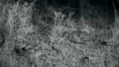 Keyframe #1