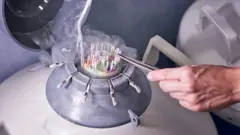 Laboratorio de un banco de esperma