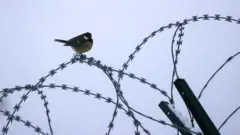 зона
