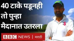 क्रिकेट
