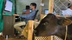 दादासाहेब भगत , कंपनी