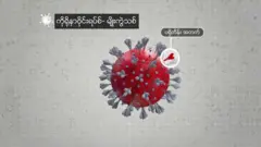 ကိုရိုနာဗိုင်းရပ်စ်က ဘယ်လို သန္ဓေပြောင်းလာသလဲ