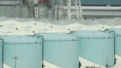 JAPAN NUCLEAR PLANTS