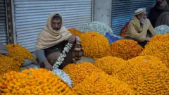 پشاور، گیندا، گیندے کے پھول، پاکستان