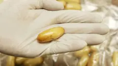 బంగారం స్మగ్లింగ్