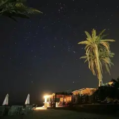 Une ferme écologique qui défie les lois du désert.