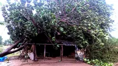 બનાસકાંઠા