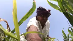 ખેડૂત