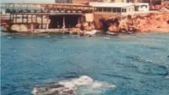 العصافيري