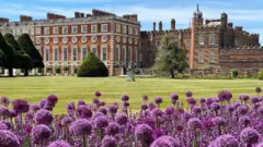 Hampton Court Palace