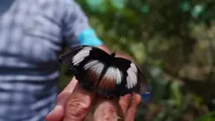 پرورش پیله پروانه‌ها، راهی برای کسب درآمد و حفظ جنگل‌ها در کنیا