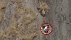 மலை இடுக்கில் சிக்கிய இளைஞர் மீட்கப்பட்ட காட்சி